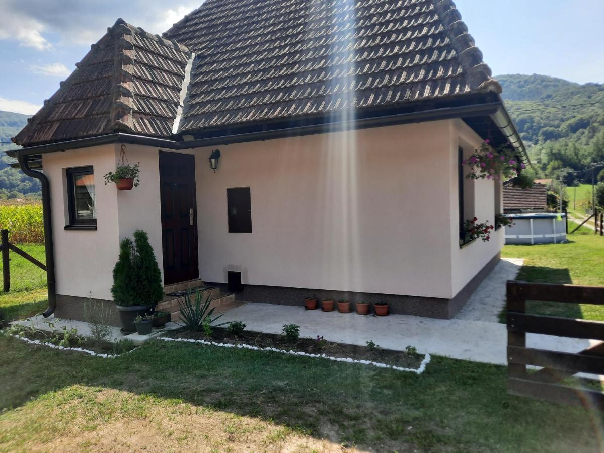 Drinski Oganj Kuca Za Odmor Bajina Basta Exteriér fotografie