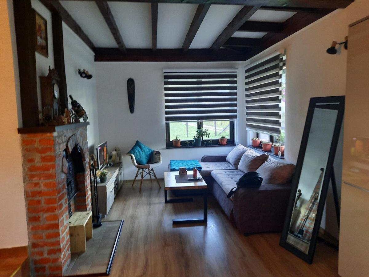 Drinski Oganj Kuca Za Odmor Bajina Basta Exteriér fotografie