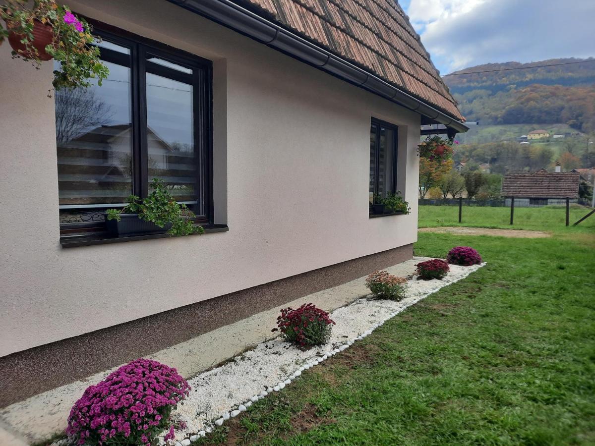 Drinski Oganj Kuca Za Odmor Bajina Basta Exteriér fotografie