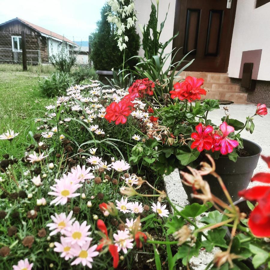 Drinski Oganj Kuca Za Odmor Bajina Basta Exteriér fotografie